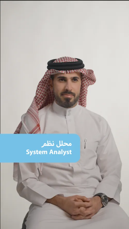 System Analyst